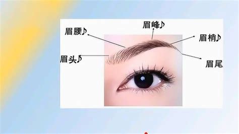 左眉下有痣|女人眉毛下有痣面相图解，女人眉毛下面有痣代表什么？